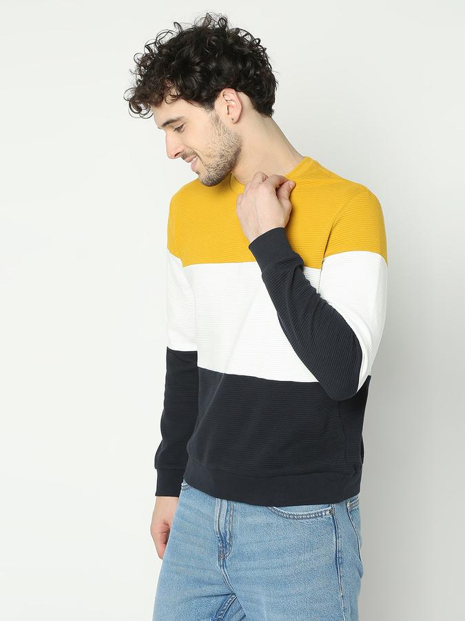 Men Colourblock Regular Fit Sweatshirt image number 1