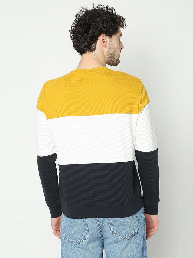 Men Colourblock Regular Fit Sweatshirt image number 3