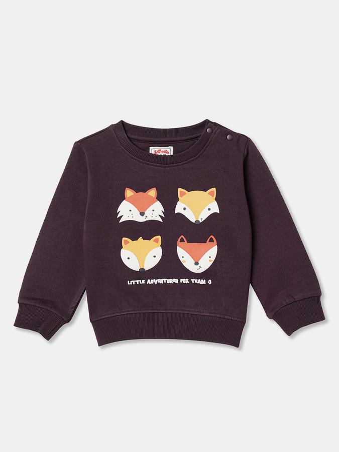 Full Sleeve Graphic Print Baby Boys Sweatshirt 