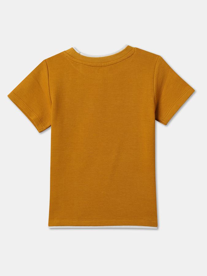 Boys Solid Pure Cotton Regular T Shirt image number 1