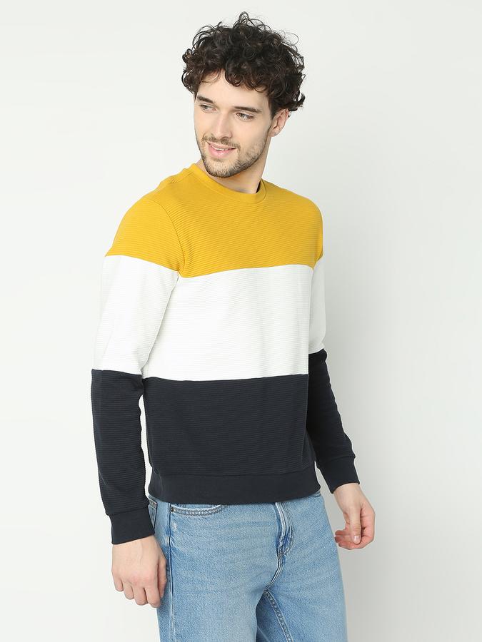 Men Colourblock Regular Fit Sweatshirt image number 2